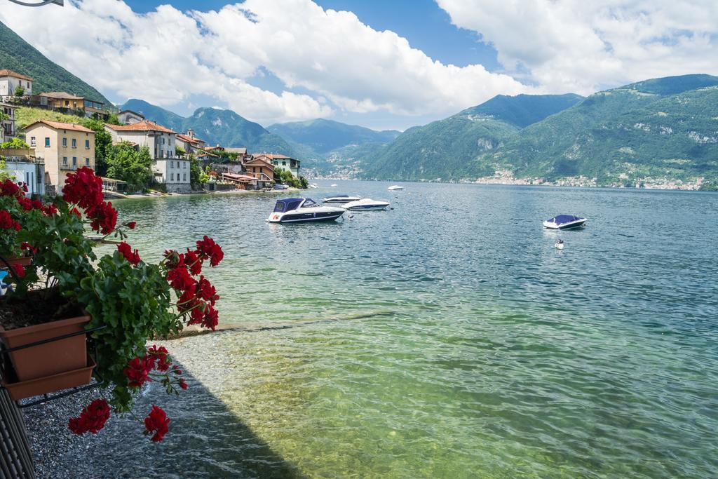 Bed and Breakfast Crotto Dei Pescatori Lezzeno Exterior foto